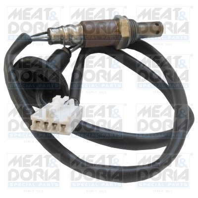 Oxygen Sensor